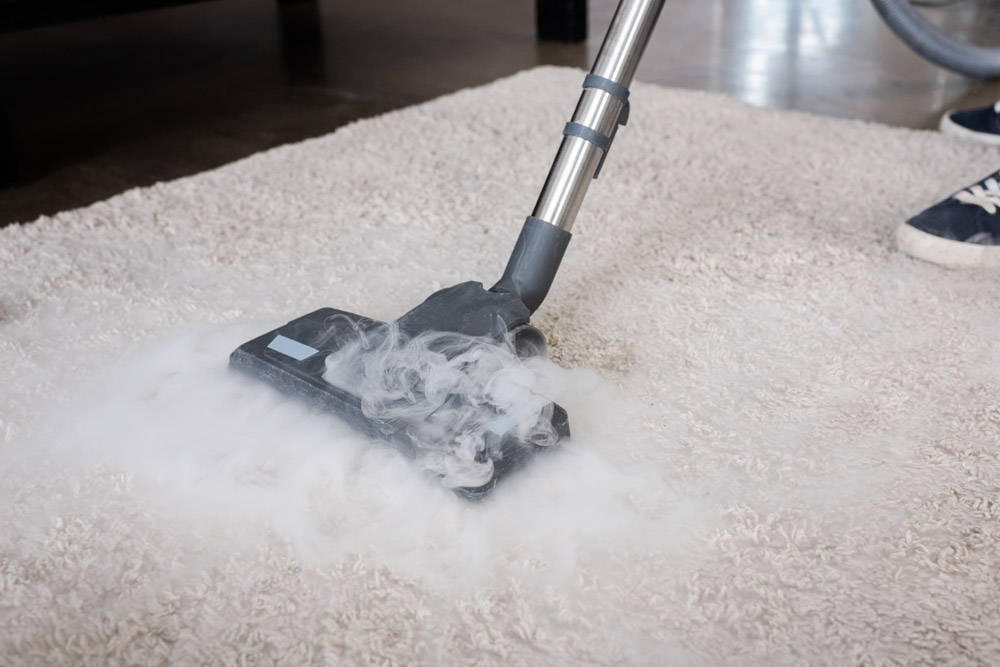 Steam Cleaning Services Eco Cleaning LLC Portland